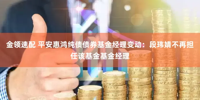 金领速配 平安惠鸿纯债债券基金经理变动：段玮婧不再担任该基金基金经理